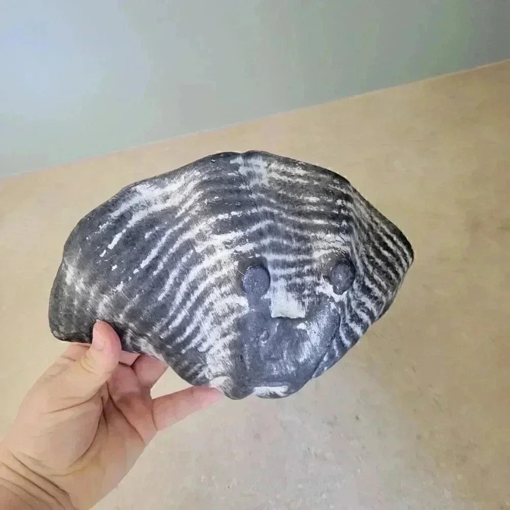 Shell Home Decor - Picture 4 of 5